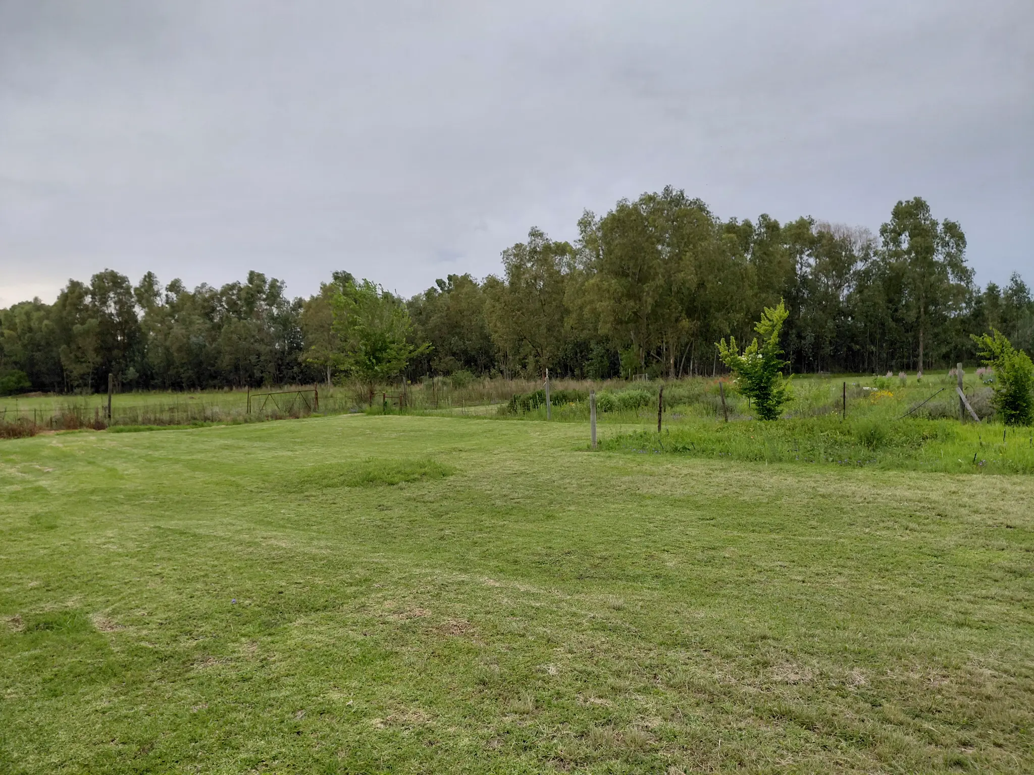 Herbal Spaces property — open green lawns and herb gardens with eucalyptus trees in the background