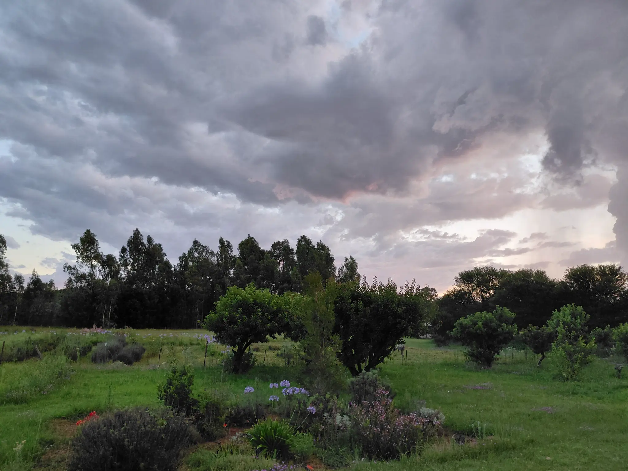 Herbal Spaces property at sunset — lush South African rural garden with agapanthus and trees under a dramatic sky
